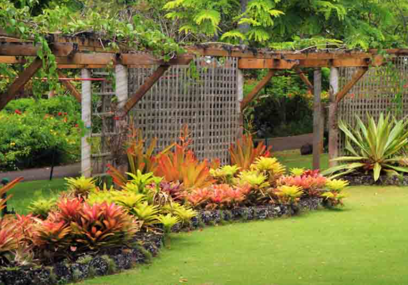 Tropical Garden Gallery 2